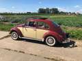 Volkswagen Kever Beige - thumbnail 5