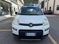 Fiat Panda 4x4 0.9 Twinair Turbo 4x4 S&S **OK NEOPATENTATI** Blanco - thumbnail 3