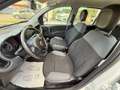 Fiat Panda 4x4 0.9 Twinair Turbo 4x4 S&S **OK NEOPATENTATI** Blanco - thumbnail 7
