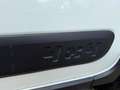 Fiat Panda 4x4 0.9 Twinair Turbo 4x4 S&S **OK NEOPATENTATI** Blanco - thumbnail 14