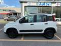 Fiat Panda 4x4 0.9 Twinair Turbo 4x4 S&S **OK NEOPATENTATI** Blanco - thumbnail 5
