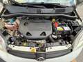 Fiat Panda 4x4 0.9 Twinair Turbo 4x4 S&S **OK NEOPATENTATI** Blanco - thumbnail 15