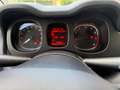 Fiat Panda 4x4 0.9 Twinair Turbo 4x4 S&S **OK NEOPATENTATI** Blanco - thumbnail 10