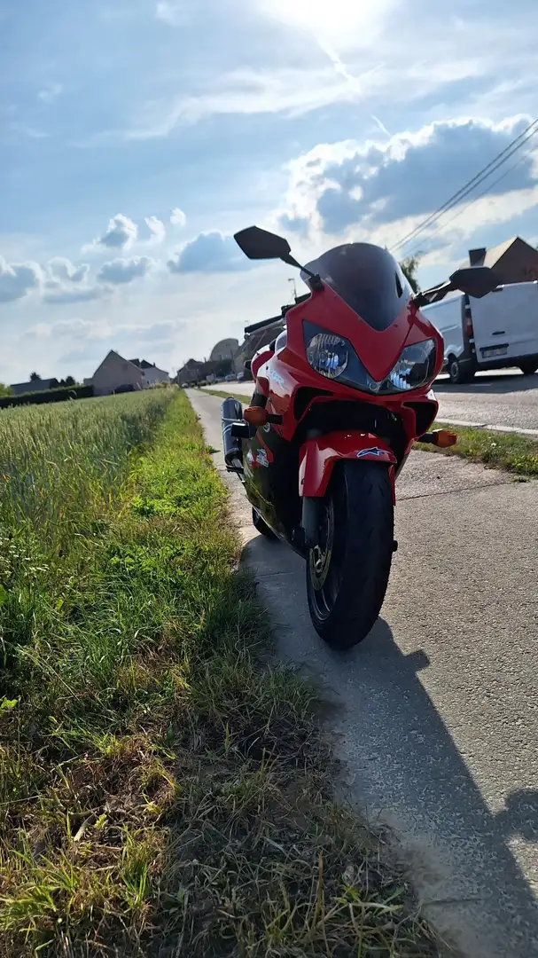 Honda CBR 600 Rouge - 2