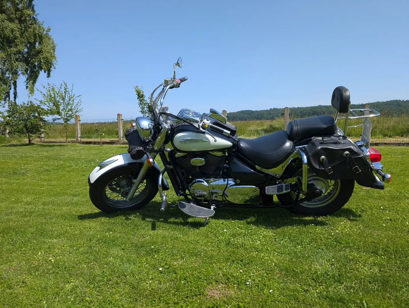 Suzuki VL 800 Beige - 1