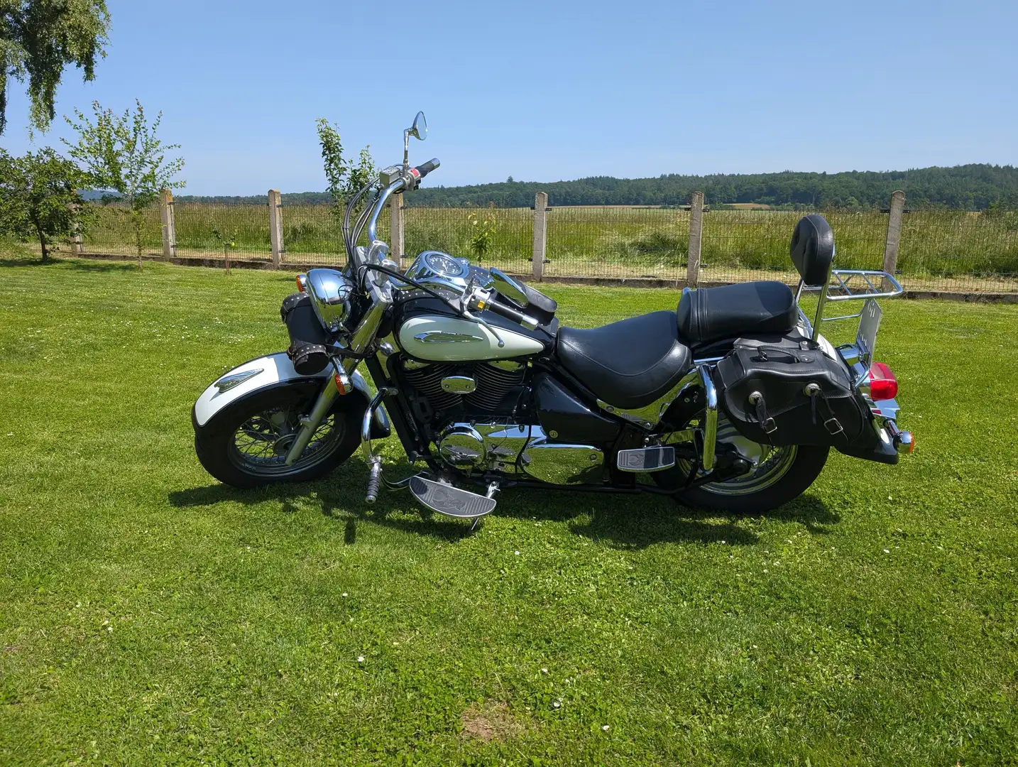 Suzuki VL 800 Beige - 2