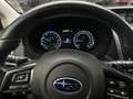 Subaru Levorg Active 4x4 SHZ/LED/Automatik Grau - thumbnail 22