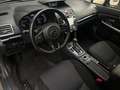 Subaru Levorg Active 4x4 SHZ/LED/Automatik Grau - thumbnail 10