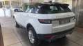 Land Rover Range Rover Evoque 2.0 5P Garantita Bianco - thumbnail 3