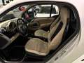 smart forTwo Fortwo II 2007 1.0 mhd Pure 71cv Bianco - thumbnail 8