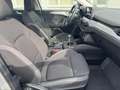 Ford Focus Turnier 1,5 CDTI Cool & Connect-LED-1 Hand Argento - thumbnail 13