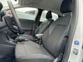 Ford Puma 1,0 EcoBoost Hybrid 92kW Titanium Blanco - thumbnail 12