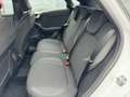 Ford Puma 1,0 EcoBoost Hybrid 92kW Titanium Blanc - thumbnail 9