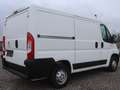 Peugeot Boxer L1H1 Kasten/€ 14.900,-netto/ TEL TEMP KLIMA Weiß - thumbnail 4
