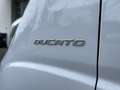 Fiat Ducato 2.3 mtj PASSO LUNGO L2 GARANZIA 24MESI CRUIS+TELEC Blanc - thumbnail 17