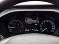 Ford Tourneo Custom 2.0 TDCi Mild Hybrid 320 L2 Active AHK/STH/Kamera Orange - thumbnail 28