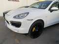 Porsche Cayenne 4.0 S Diesel PARI AL NUOVOp Bianco - thumbnail 6