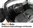 Volkswagen Golf Variant TDI SCR Grau - thumbnail 8