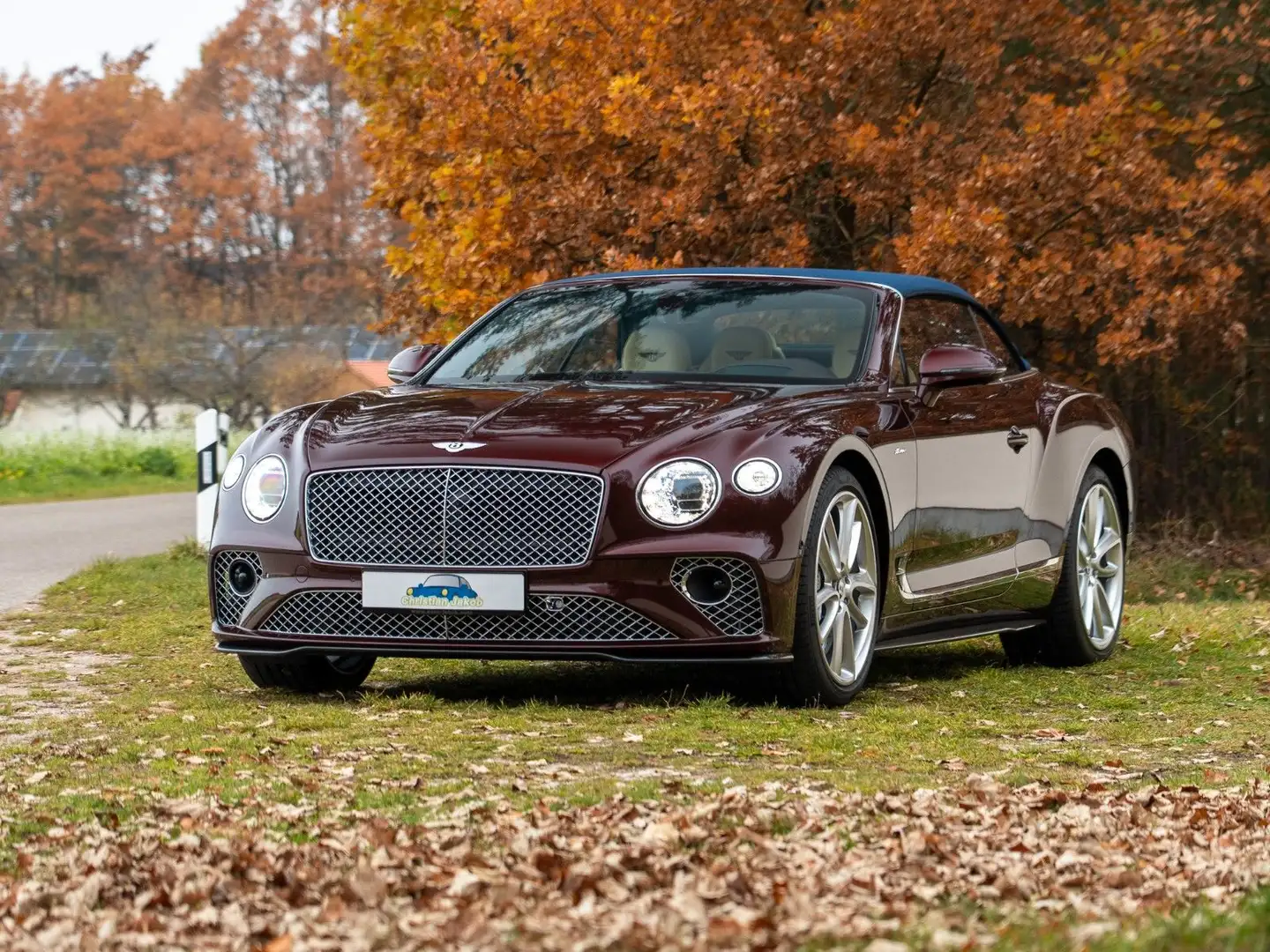 Bentley Continental GTC Violett - 2