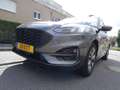 Ford Kuga 1.5 ST-LINE X 150CV Gris - thumbnail 14