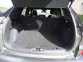 Ford Kuga 1.5 ST-LINE X 150CV Gris - thumbnail 12
