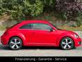 Volkswagen Beetle 1.4 TSI Fender/XENON/2 HAND/160PS/NAVI Rot - thumbnail 8