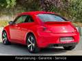 Volkswagen Beetle 1.4 TSI Fender/XENON/2 HAND/160PS/NAVI Rot - thumbnail 5