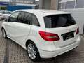 Mercedes-Benz B 180 B -Klasse B 180 KAMERA/MEMORY/XENON/LEDER Blanc - thumbnail 9