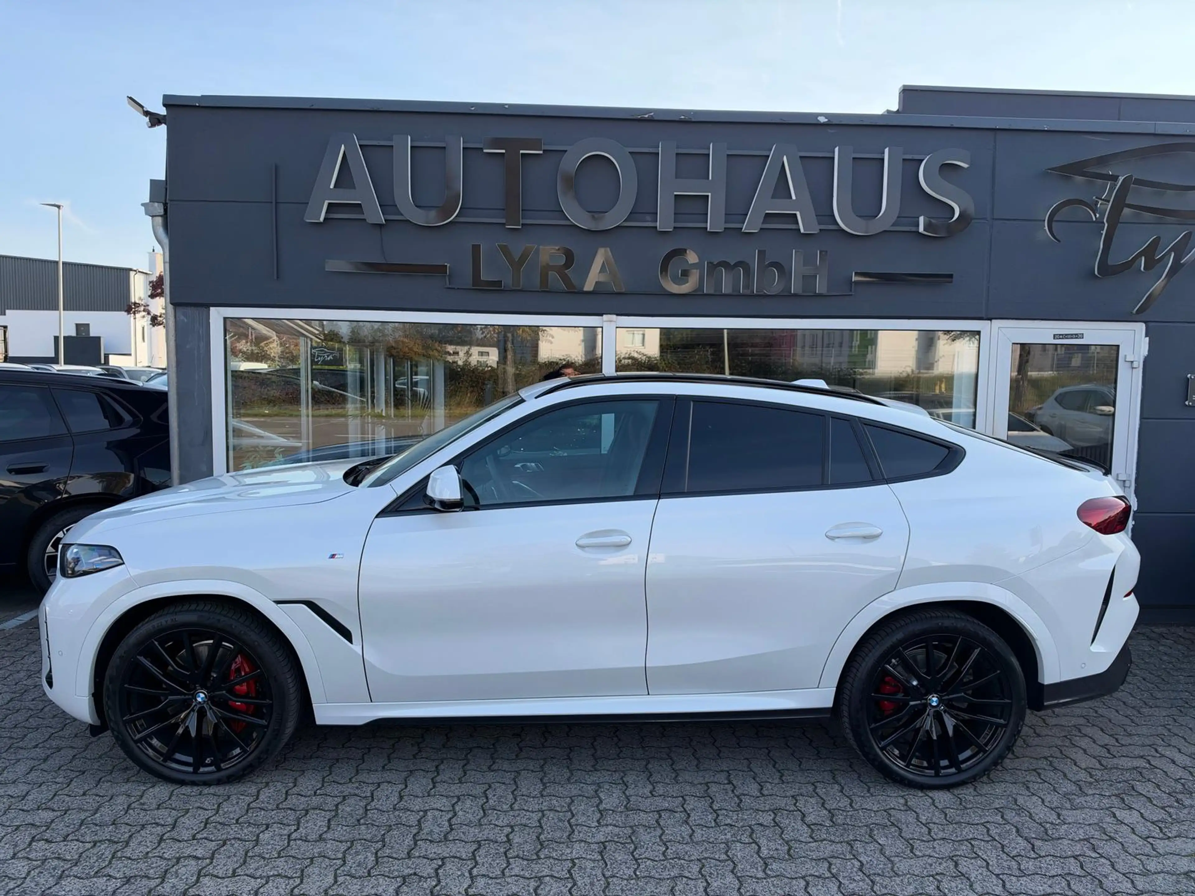 BMW X6 30d xDrive M-Sport Pro*PANO*H&K*LUFT*360*KAM* — photo 3