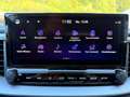 Kia Ceed SW / cee'd SW 1,0 T-GDI GPF Silber + Pak.-Style isg Blanc - thumbnail 10