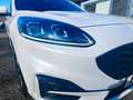 Ford Kuga 1.5 EcoBoost ST-Line **ACC**HUD**KAMERA** Weiß - thumbnail 14