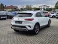 Kia XCeed Xceed 1,4 TGDI GPF Gold DCT Aut. Weiß - thumbnail 3