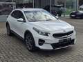 Kia XCeed Xceed 1,4 TGDI GPF Gold DCT Aut. Weiß - thumbnail 2
