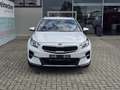Kia XCeed Xceed 1,4 TGDI GPF Gold DCT Aut. Weiß - thumbnail 6