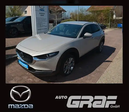 Mazda CX-30 Exclusive-Line NAVI LED 360° ACC PDC HUD