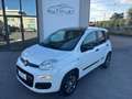 Fiat Panda 0.9 TwinAir Turbo Natural Power Young Bianco - thumbnail 3
