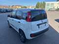 Fiat Panda 0.9 TwinAir Turbo Natural Power Young Bianco - thumbnail 10