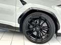 Lamborghini Urus SE  *Vollausstattung* *X-Pel Folierung mit Kerami Grau - thumbnail 3