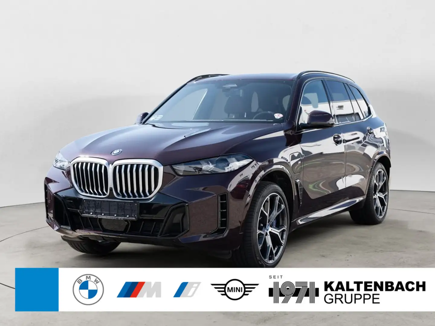 BMW X5 xDrive50e M Sport INDIVIDUAL LUFTFED. AKTI Burdeos - 1