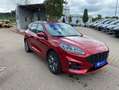 Ford Kuga 2.0 Aut. ST-LINE *AHK *ACC *CAM *HUD *LED Rot - thumbnail 14