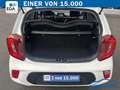 Kia Picanto 1.0  DREAM TEAM EDITION NAVI*SHZG*R-CAM Weiß - thumbnail 21