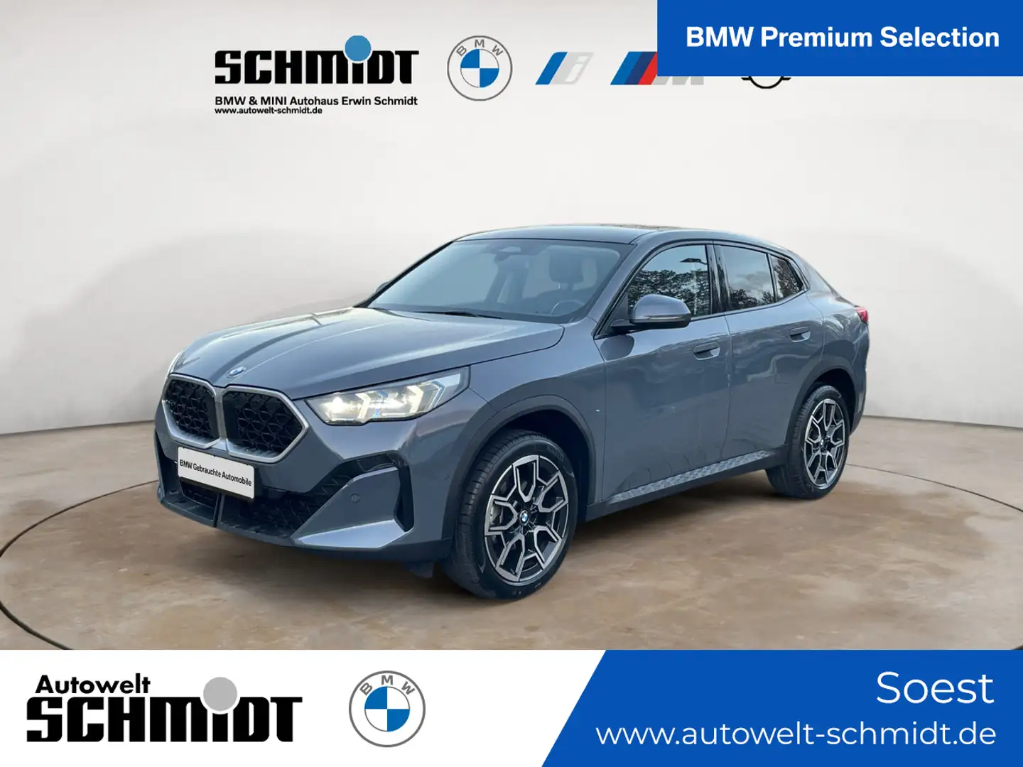 BMW X2 sDrive20d Premium Paket Panorama 19Zoll Grau - 1