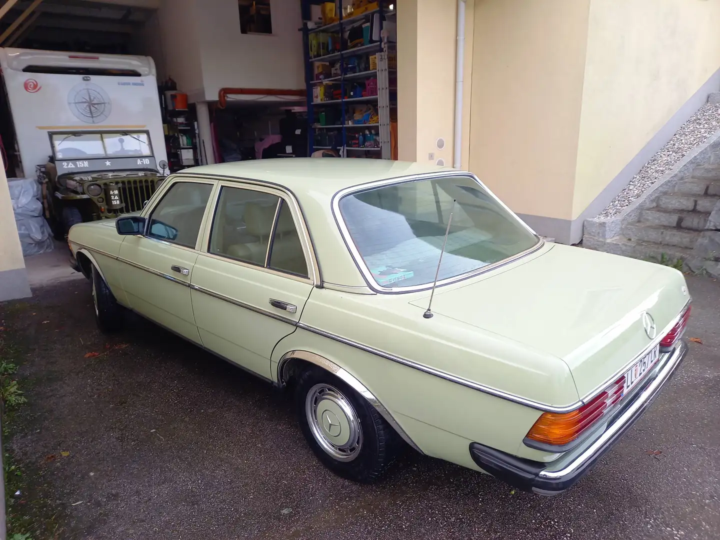 Mercedes-Benz 230 W 123 Grün - 2