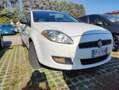 Fiat Bravo Bravo 1.6 mjt Emotion 105cv White - thumbnail 12
