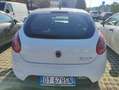Fiat Bravo Bravo 1.6 mjt Emotion 105cv White - thumbnail 10