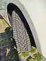 Fiat Bravo Bravo 1.6 mjt Emotion 105cv White - thumbnail 8