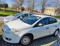 Fiat Bravo Bravo 1.6 mjt Emotion 105cv White - thumbnail 13