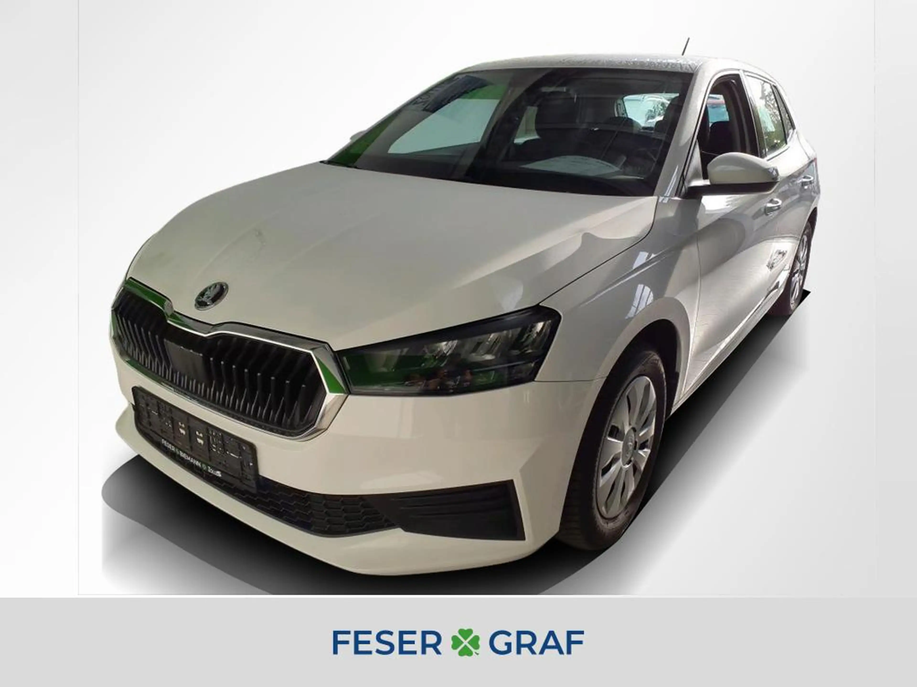Skoda Fabia 1.0 Active Allwetter Bluetooth Klima LED
