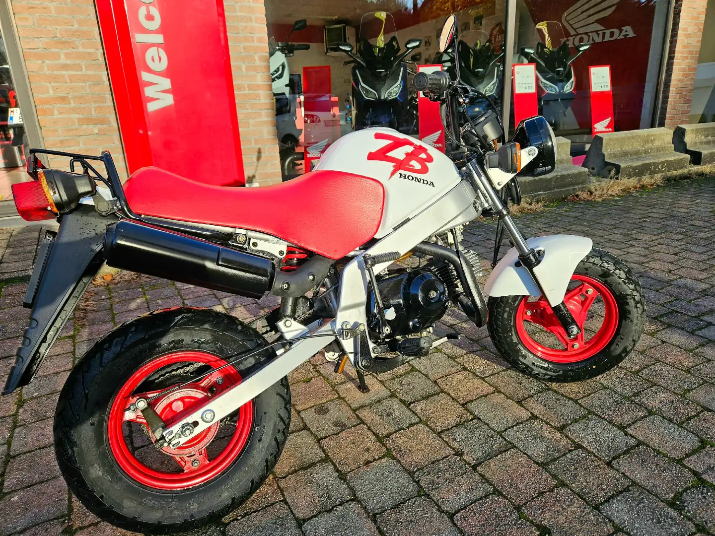 Honda Z 50 ZB 50 Wit - 1