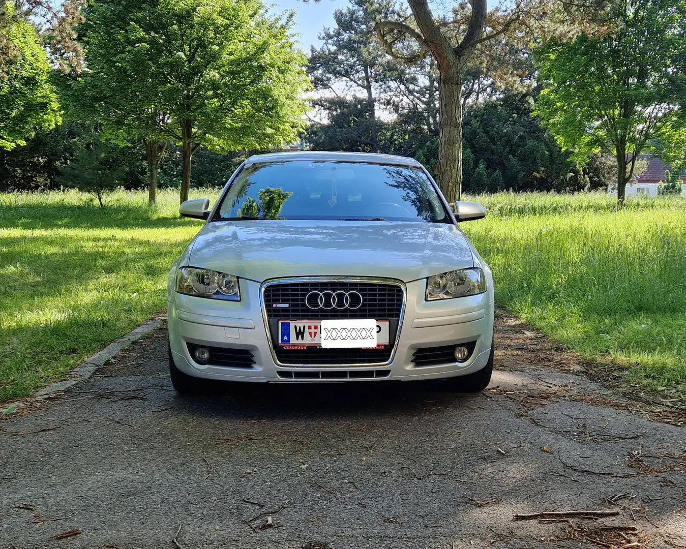 Audi A3 A3 SB 1,9 TDI e DPF Silber - 1